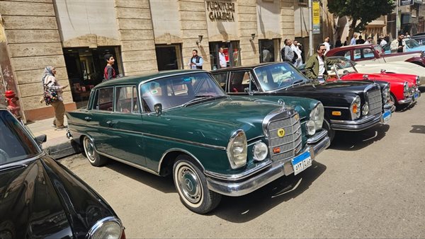 في احتفالية تراثية بالقاهرة.. أكثر من 60 سيارة كلاسيكية تزين شوارع العاصمة احتفالًا بمرور 102 عام على إنشاء نادي السيارات