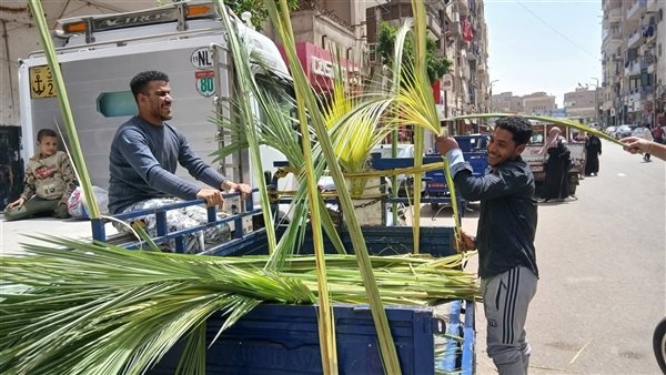 أقباط قنا يستعدون للاحتفال بعيد القيامة بشراء سعف النخيل