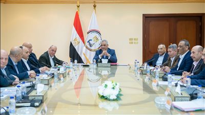 وزير الإنتاج الحربي يتابع الأداء المالي للشركات التابعة للوزارة
