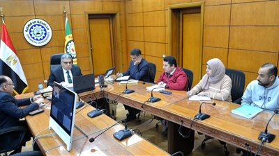 محافظ الدقهلية يشارك في اجتماع مع وزيرة التنمية المحلية والبيئة 