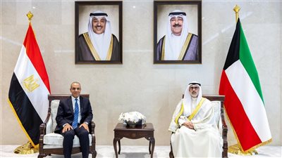 وزير الخارجية يعقد مباحثات مع نظيره الكويتي ويؤكد تضامن مصر الكامل مع بلاده