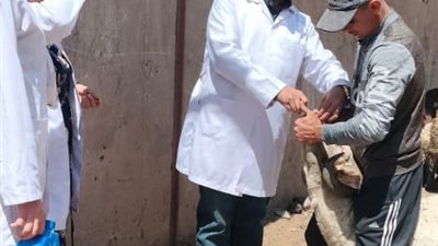 محافظ الدقهلية يتابع جهود  الطب البيطري في تسيير قوافل طبية بيطرية
