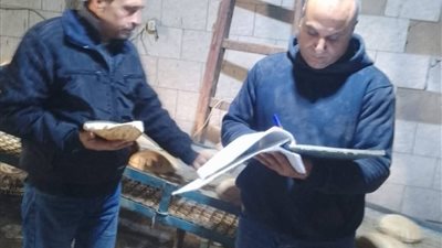 تموين البحيرة يضبط مخابز مخالفة وتلاعب بالأوزان