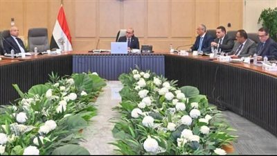 وزير الاستثمار يترأس اجتماع مجموعة العمل المعنية بالعلاقات المصرية الكورية