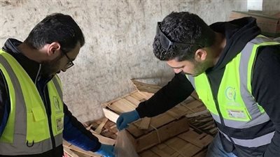 ضبط طن رنجة غير صالحة للإستخدام فى الغربية