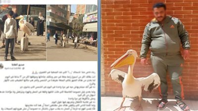 ضبط صاحب محل بالغربية لتكبيله 