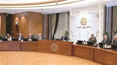 تأمين الغذاء والدواء