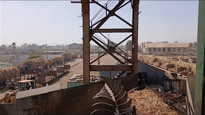 ننشر موعد صرف مستحقات مزارعي قصب السكر