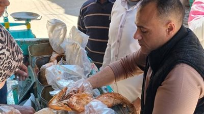 محافظ أسيوط: ضبط 850 كجم أسماك مملحة فاسدة 