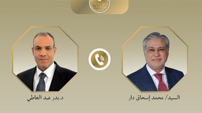 وزير الخارجية الباكستاني يثمن مستوى التنسيق مع مصر وتركيا في أزمات المنطقة