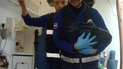  ولادة مفاجئة لسيدة بقرية  محلة مرحوم خلال احتفالها بشم النسيم