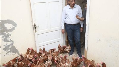 محافظ البحر الأحمر يتفقد مشروع وادى حوضين فى شلاتين