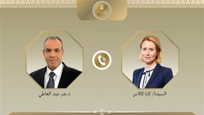 وزير الخارجية يبحث مع ممثلة الشؤون الخارجية للاتحاد الأوروبي الجهود الإقليمية لخفض التصعيد