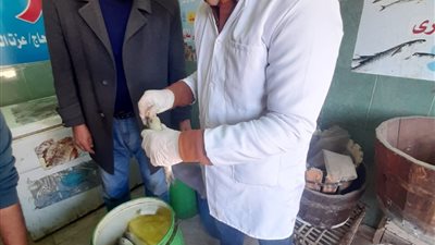 ضبط طن رنجة وفسيخ غير صالح للاستهلاك فى الغربية