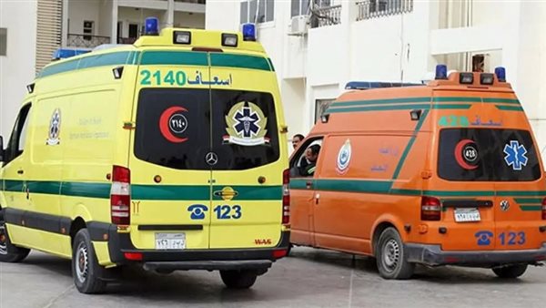 حادث مروع بالشرقية يحصد شابين ويصيب آخرين