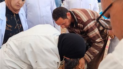 محافظ الدقهلية يتابع جهود مديرية الطب البيطري في تنفيذ القوافل الطبية البيطرية المجانية 