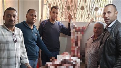 حملة تموينية مشتركة بكوم حمادة تضبط لحوما فاسدة وتحرر 5 محاضر للمخالفين بالبحيرة