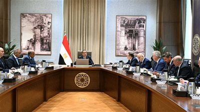 رئيس الوزراء يلتقي المدير العام لـ