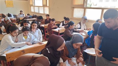 “قصور الثقافة” تواصل برنامج المواطنة لتعزيز الهوية الوطنية بالمنيا
