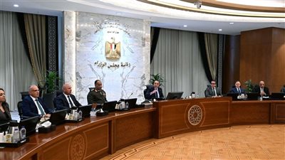 الحكومة تُحصّن الطيران المدني رقميًا..  الموافقة على مشروع متكامل لتعزيز الأمن السيبراني
