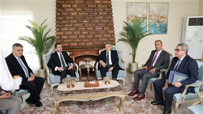 ربيع وأمين الملاحة الدولية يبحثان الآثار الجيوسياسية بالمنطقة على سلاسل الإمداد