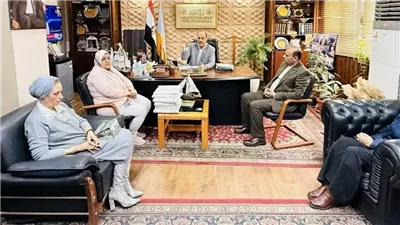 تحركات عاجلة في إسكندرية.. الطاقة الشمسية بديلًا للكهرباء 
