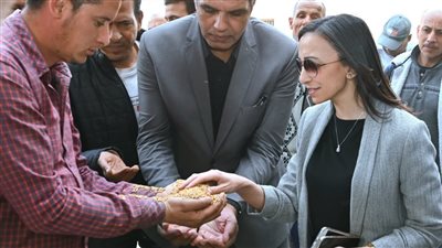  محافظ البحيرة تتفقد أعمال توريد القمح بصومعة زاوية غزال 