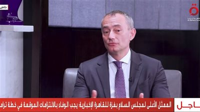 ملادينوف: دور مصر حاسم في التعامل مع الملف بفضل الخبرة والحكمة والدبلوماسية