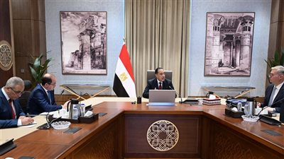 مدبولي يتابع مع وزيري المالية والبترول عددًا من ملفات العمل المشترك