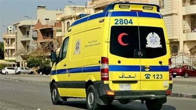 شاب ينهي حياته شنقًا داخل منزله بالبحيرة.. تفاصيل 