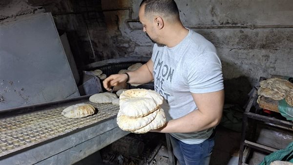 حملات تموينية مفاجئة تُسفر عن تحرير 21 محضرًا بالمحلة وكفر الزيات