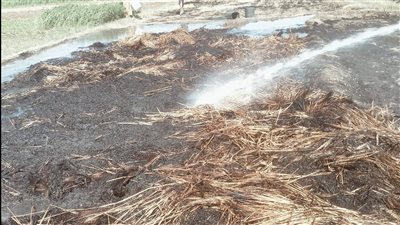 النيران تلتهم جرن قمح فى أبو مناع بدشنا 