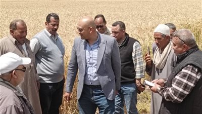 وكيل زراعة الغربية يتفقد زراعات القمح بمركز زفتى استعداداً لموسم الحصاد