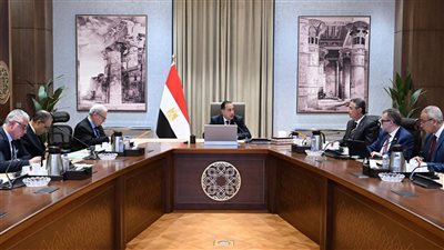 مدبولى يُتابع إنشاء مركز عالمي لتخزين وتوريد وتجارة الحبوب والزيوت في مصر