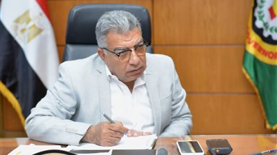 محافظ الدقهلية يتابع انتظام  منظومة توريد القمح 