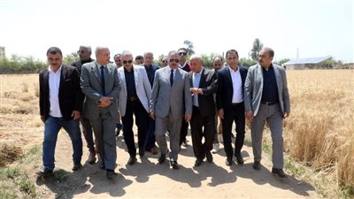 من بلبيس.. حازم الأشموني : لن نسمح بأي معوقات تعطل توريد القمح إلى الصوامع