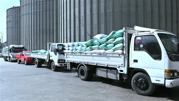 انتظام أعمال توريد الأقماح إلى شون وصوامع البحيرة