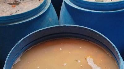  ضبط 32 طن مخلل فاسد بالدقهلية 