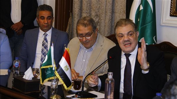 "البدوي": الوفد يعيد بناء "اتحاد النقابات المهنية" لمخاطبة 8 ملايين مهني ونقابي