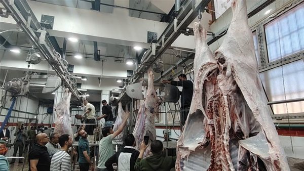 يخدم 75 قرية ومليون مواطن.. بدء التشغيل التجريبي لمجزر الزقازيق بمحافظة الشرقية