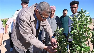 محافظ جنوب سيناء يتفقد تجمعات وادي سعال المتأثرة بالسيول ويوجه بدعم عاجل 