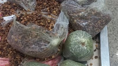 جمارك مطار القاهرة تضبط راكب بحوزته ٣ كيلو ونصف من مخدر القات
