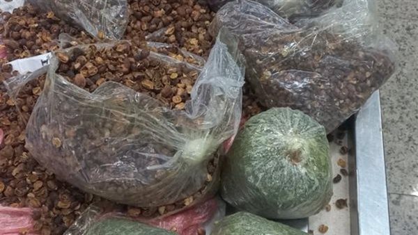 جمارك مطار القاهرة تضبط راكب بحوزته ٣ كيلو ونصف من مخدر القات