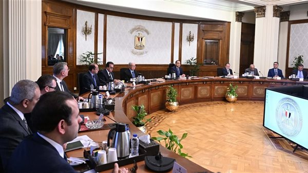 مدبولي يوجه بالإعلان عن مبادرة تحفيزية للمصانع والمنازل للتحول إلى الطاقة الشمسية