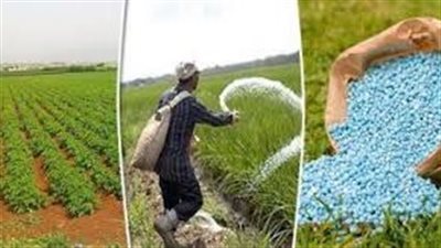 تراجع أسعار الأسمدة في الأسواق اليوم الأحد