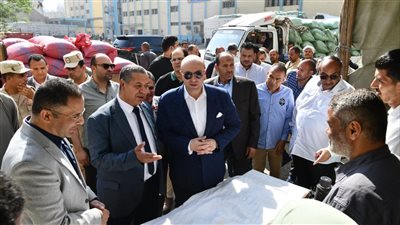 محافظ الفيوم يتفقد أعمال توريد القمح المحلي بصوامع شركة مطاحن مصر الوسطى