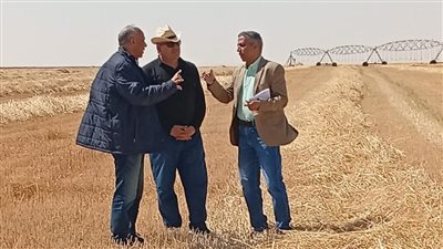 رئيس البحوث الزراعية يفتتح موسم حصاد المحاصيل الاستراتيجية بمحطة الفرافرة
