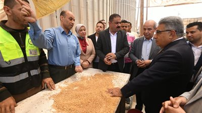 محافظ الدقهلية يشهد توريد القمح بصوامع ميت غمر 