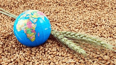 هل تنجح الشراكات الدولية في احتواء أزمة الغذاء العالمية؟
