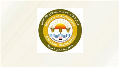 تحصين 25633 كلبًا وتعقيم 2124 ضمن الحملة القومية لمكافحة السعار